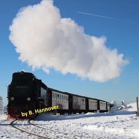 ורניגרוד Ferienwohnung Both מראה חיצוני תמונה